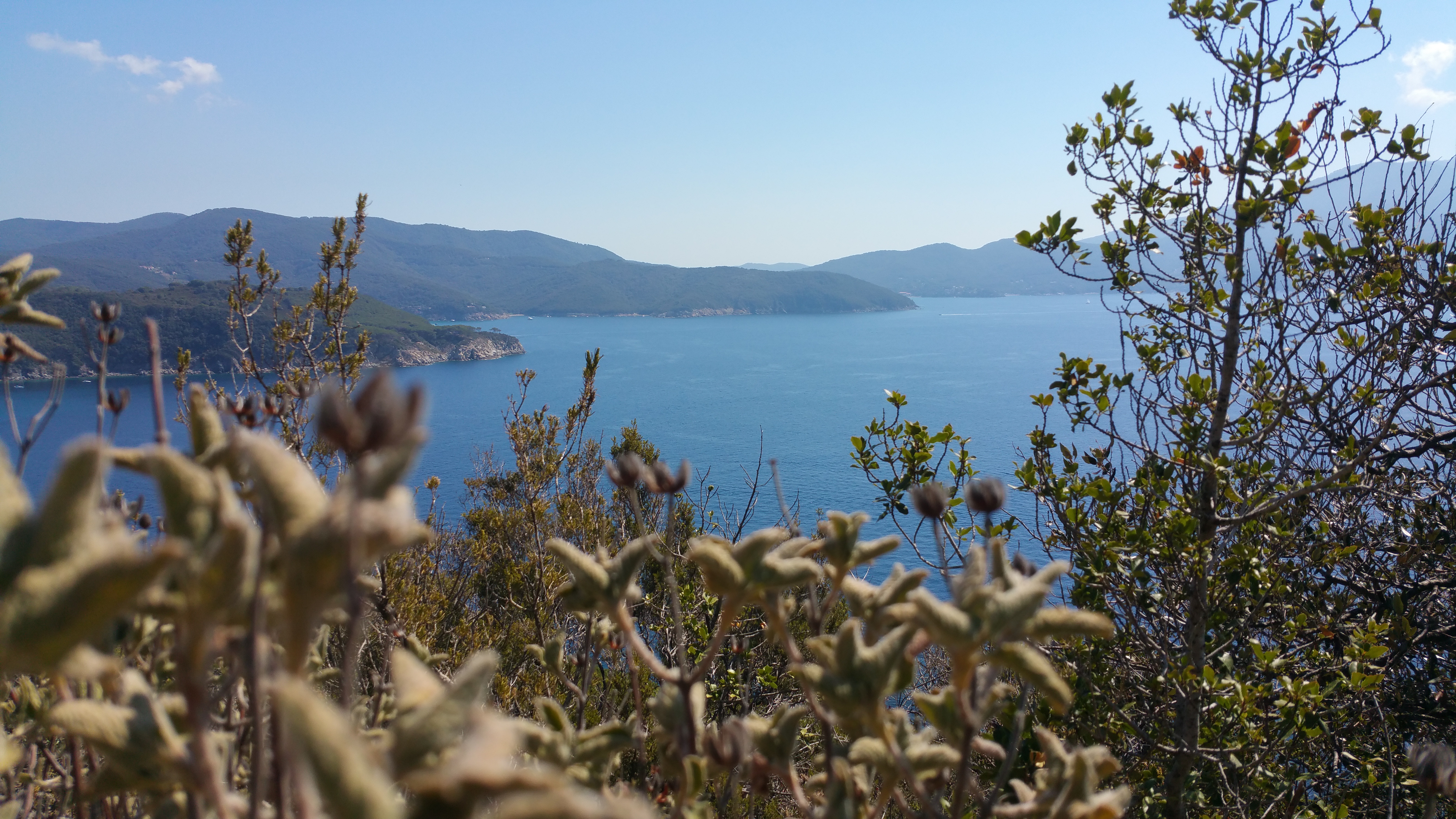 Golfo