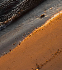20240313_PPN_0005.jpg