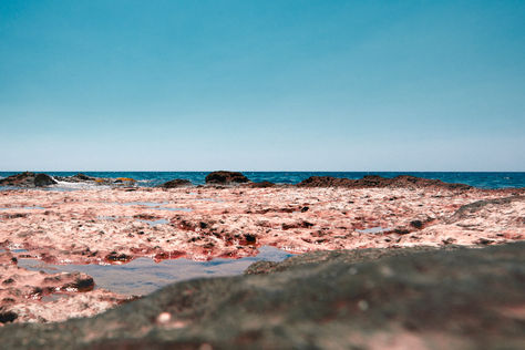 Experience the tranquil beauty of "Natural Salt Mining Pools," a stunning portrayal of the serene coastline in West Mani, Greece. This artwork reveals a harmonious blend of sky and sea, where the gentle waves meet rugged rocks, creating a peaceful atmosphere. The soft hues of the landscape invite contemplation, evoking the essence of a sun-drenched day by the beach. Perfect for adding a touch of coastal serenity to your space, this piece serves as a reminder of nature's quiet elegance.
Title: "Natural Salt Mining" by Antigoni Pagona
Year taken: 2021
Medium: Photography | Giclée print on archival paper attached on Dibond
Edition: Out of 5 + 2 AP
Photography Size: H 70 x W 140 cm. Depth 3 cm