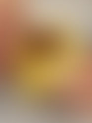 Pastel de Nata zaten özel. Ama dondurmayla birleşince bir tatlı şölenine dönüşüyor. Sıcak ve soğuk zıtlığı, Fransız stili bir final gibi. Bu tarif, minimal malzemeyle dramatik bir etki yaratıyor. 🍮🍨✨