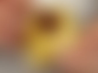 Pastel de Nata zaten özel. Ama dondurmayla birleşince bir tatlı şölenine dönüşüyor. Sıcak ve soğuk zıtlığı, Fransız stili bir final gibi. Bu tarif, minimal malzemeyle dramatik bir etki yaratıyor. 🍮🍨✨