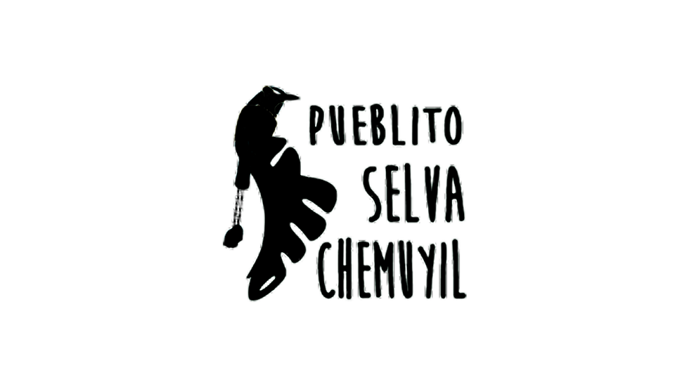Pueblito Selva Chemuyil