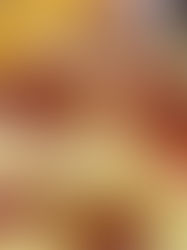 Cheddar dolgulu taban, üstünde eriyen mozzarella ve bol pepperoniyle iki katlı pizza. Kenarları çıtır, ortası uzayan bu “Double Crust Pepperoni Pizza”, pizza keyfinin tanımı. 🍕🔥