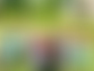 COLÉGIO COLABORE NO GB NEWS