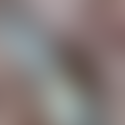 11/30(日) 開催のお知らせ