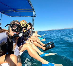 Untitled design (25).png