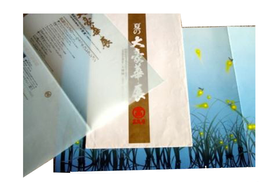 夏のイベント案内に描いたリアルイラスト