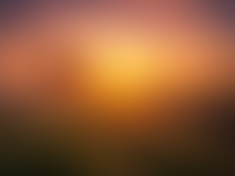 An Important Update on Our Blog Schedule