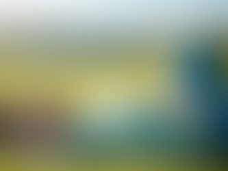 Connecting with Your Inner World Through a Gentle Body Scan: A Somatic Exercise