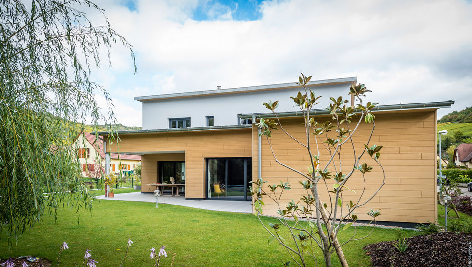 PASCAL 061015-29 copie