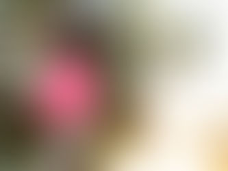 High School Senior Golf Photography Session at Web Hill Country Club