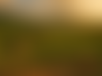 Georgia — the country where wine culture was born