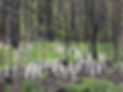 DSCN3914.JPG