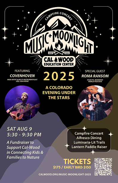 Póster Música y luz de luna - 2025 (11 x 17 pulgadas) - 2.png