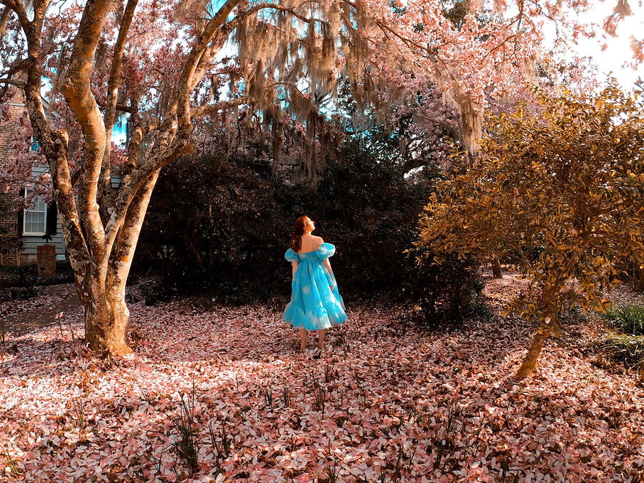 Abby Hazlett/Lover Era