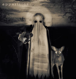 27-apparition