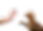 Untitled-1.png