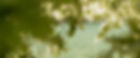 ChrisRose-06_edited.jpg
