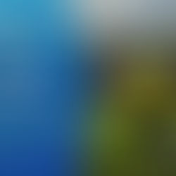 O que é o Mercado de Cantos?