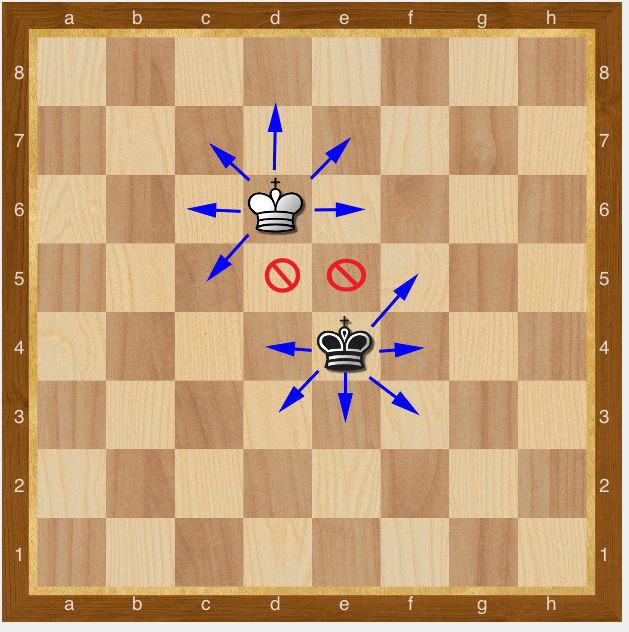 Opposing Black and White Kings on the board