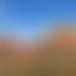 Sedona landscape
