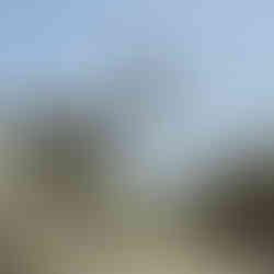 woman on glider fach