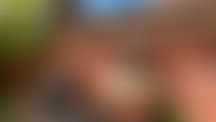 Week #17- House purchasing progress, work family celebrations and a probate fiasco