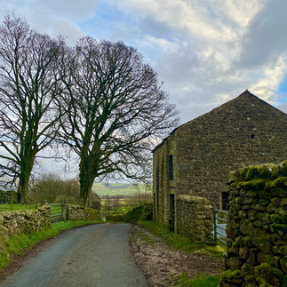 dales barn road and trees 