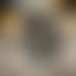 black Persian cat with one tooth