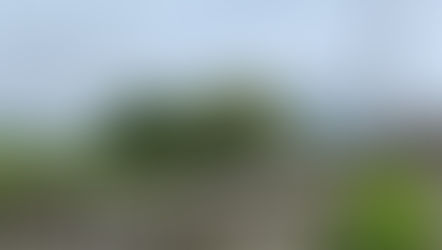 Week #15- things happen for a reason, working life lasts and a house buying update.