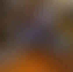 Grand Canyon brewery beer flight