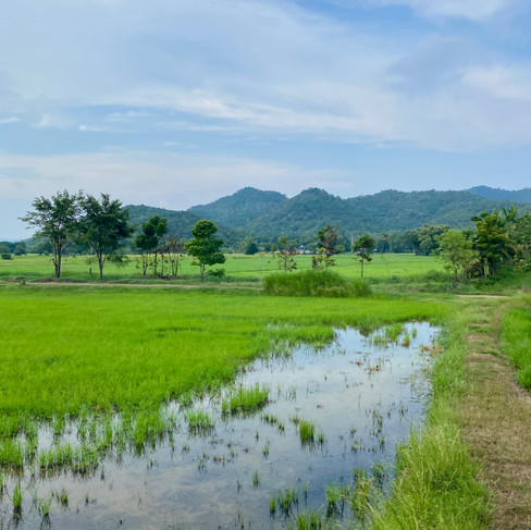 view from a train in thailand