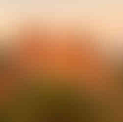 Garden of the gods red rock