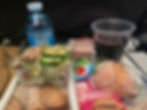 American Airlines meal