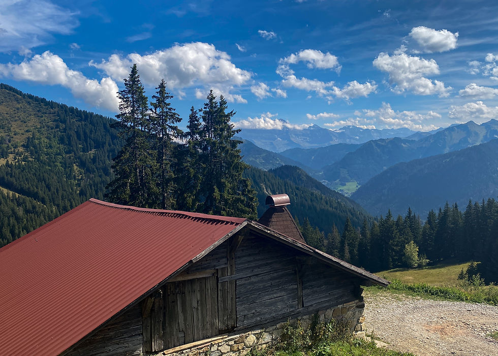 Abondance high mountain barn