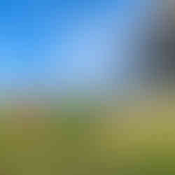 Yorkshire Dales landscape