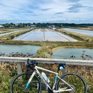 salt marsh