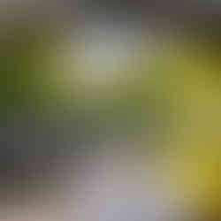 under a bridge in kettlewell