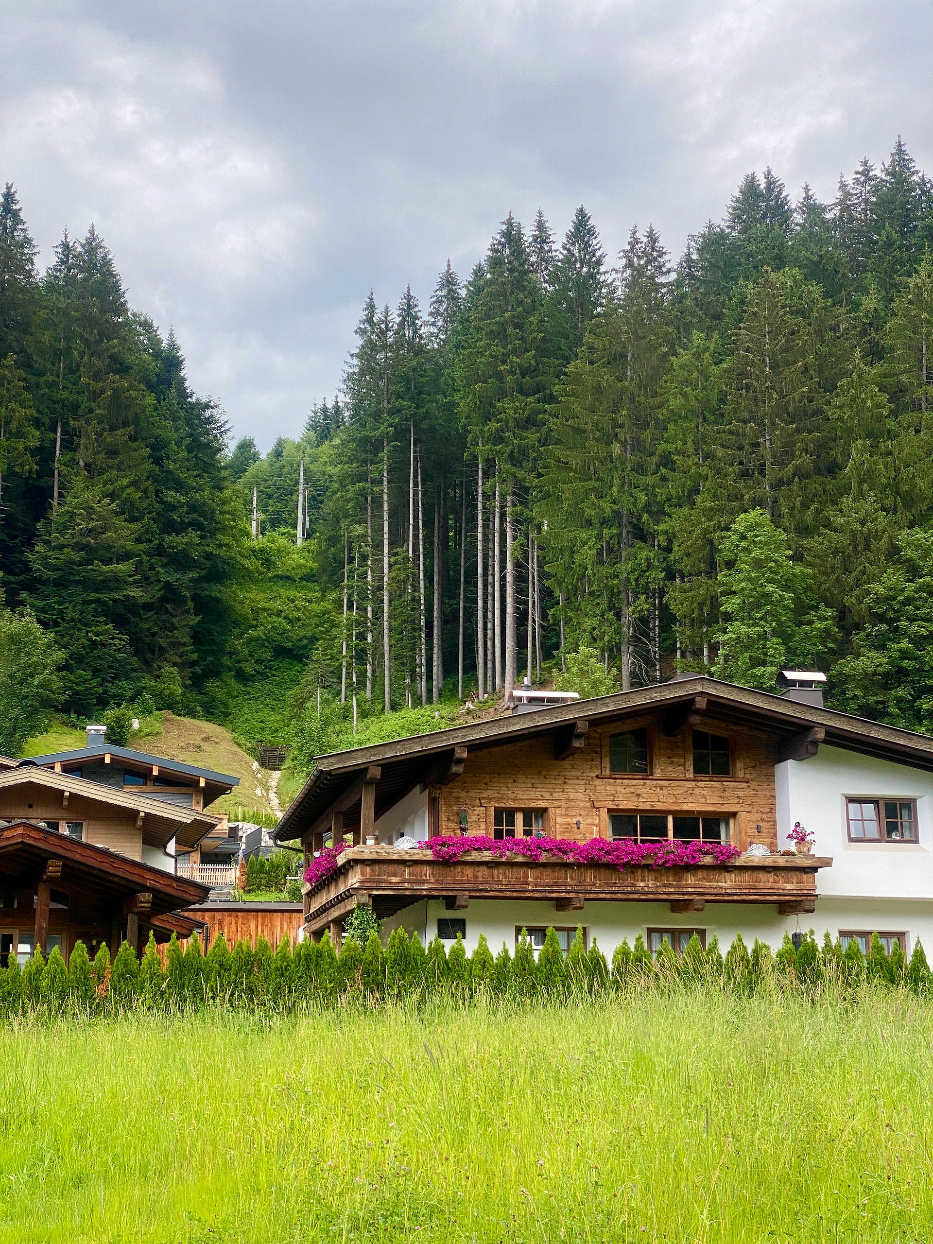 Austrian house and woods 