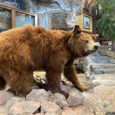 stuffed grizzly bear