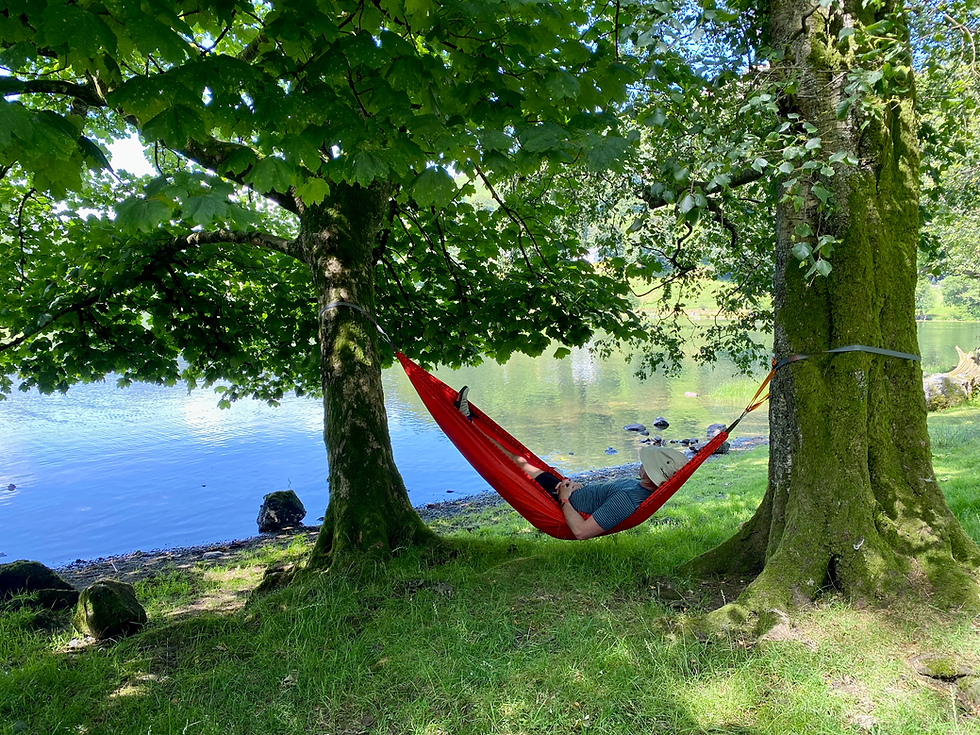 Hamock by a sunny lake
