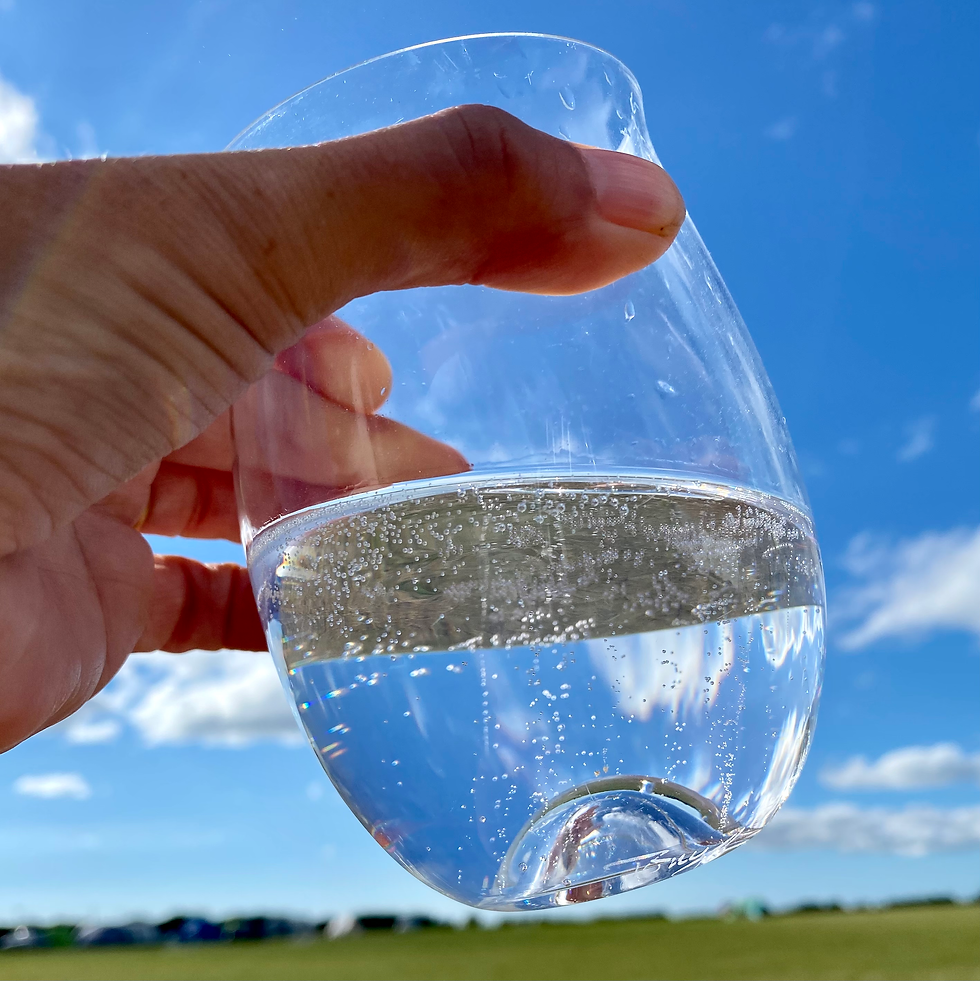 Gin glass raised in the sun