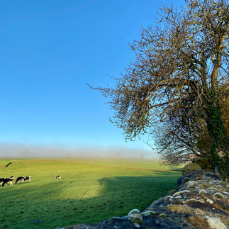 Yorkshire Dales landscape