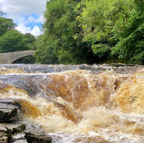 stainforth foss