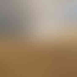 Climbing a sand dune at sunset