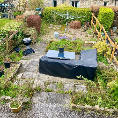 garden in need of weeding