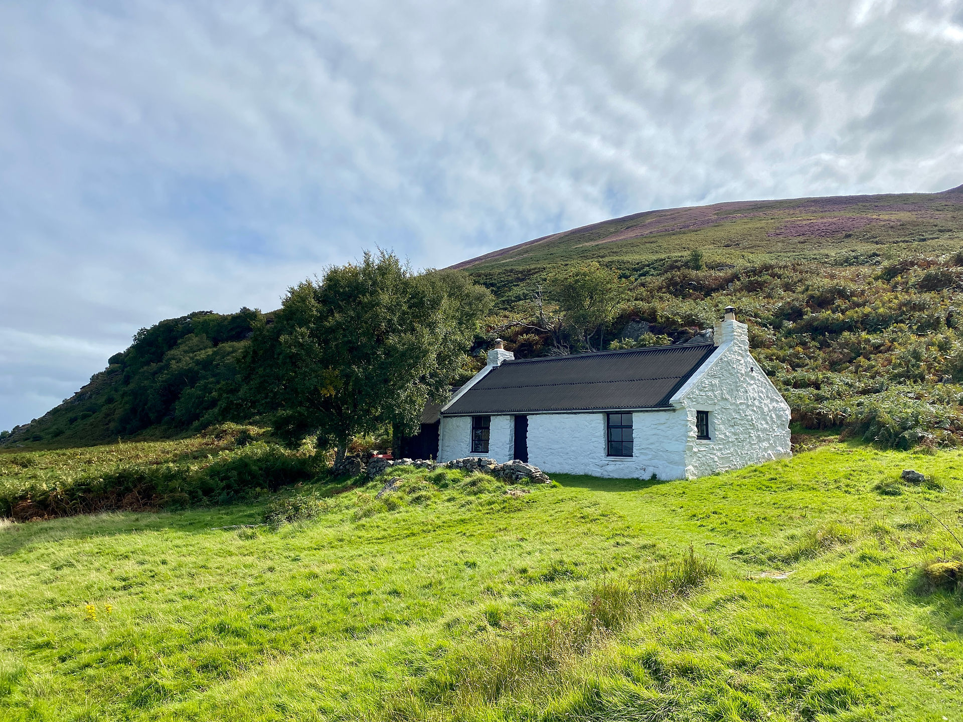 fairy dell cottage Lochranza 