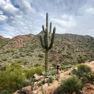 woman in Phoenix next to cactus