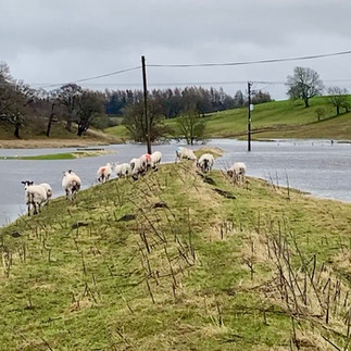 flooding in the ribble valley