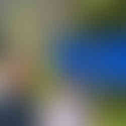 couple at Slovenia Border sign